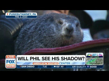 У Панксатонију се одржава чувени ''Дан мрмота'' (ВИДЕО)