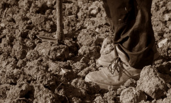 Пет грама кумове земље