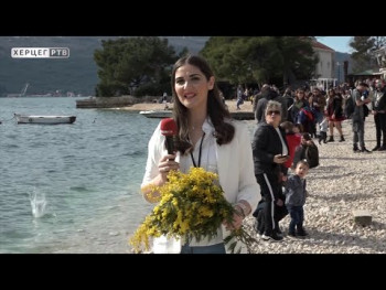 Praznik mimoze opravdao sva očekivanja, hiljade posjetilaca u Herceg Novom