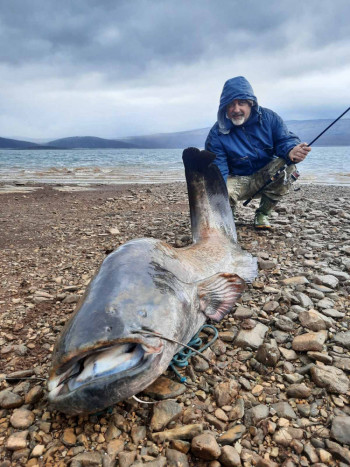 У Билећком језеру уловљен капиталац од 72 кг (ФОТО)