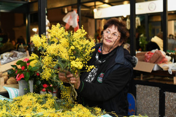 Dani Beograda na 53. Prazniku mimoze: Prvi put Noćna spenza na novskoj pijaci