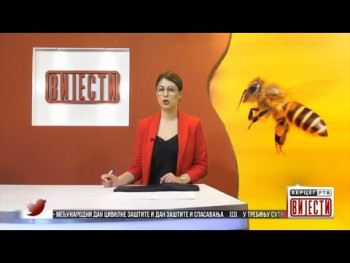 Пчелари удружења „Леотар“ успјешно презимили ову сезону