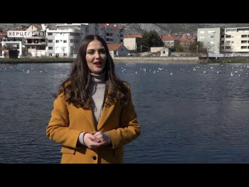 Hronika Trebinja ( VIDEO )