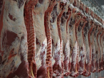 Шта је разлог за поскупљење меса? (ВИДЕО)