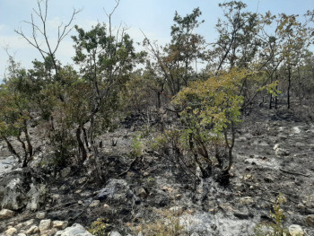 PU Trebinje: Odgovornim postupanjem spriječimo požare 