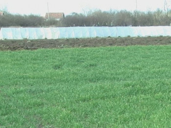 Povoljni uslovi za pripremne radove za proljećnu sjetvu