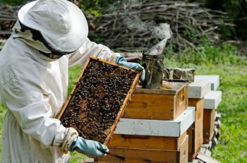 Predavanje pčelarima na temu liječenja i terapije pčelinjim prizvodima