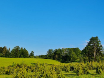 Данас сунчано и топло