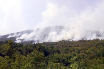 Smrtno stradalo lice prilikom paljenja korova