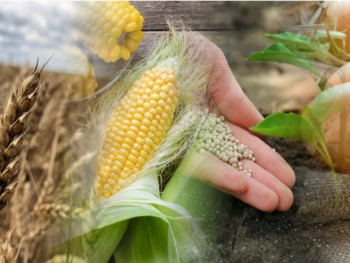 DW: Siromaštvo prijeti Hrvatskoj