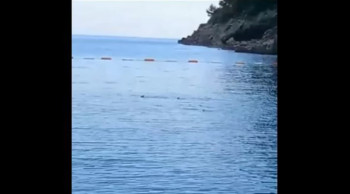 ''PA GA TI ZAPLIVAJ'' Prizor iz Jadranskog mora zapalio društvene mreže