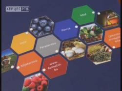 Глас Херцеговине ( 20.10.2016.)