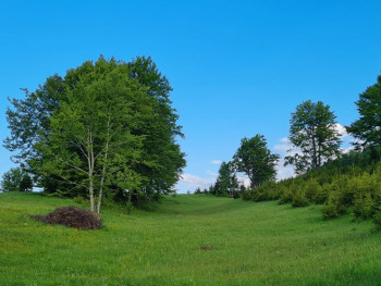 Данас сунчано и топлије