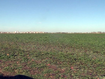 Прољећни усјеви имају појачане потребе за водом