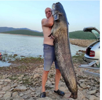 Требињци уловили сома тешког 50 килограма