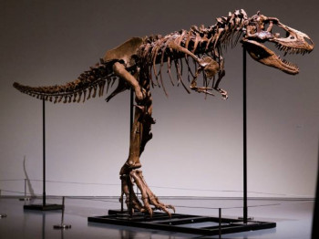 Kostur dinosaurusa prvi put na aukciji