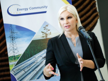 Mihajlović: Nema razloga da HE 