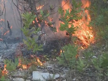 Билећа: Поново активан пожар у Коритима, ватра на 100 метара од кућа