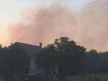 Bileća: Veliki šumski požar u selu Gornji Davidovići