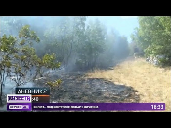 Bileća - Pod kontrolom požar u Koritima, peto jutro zapaljen požar kod Bilećkog jezera