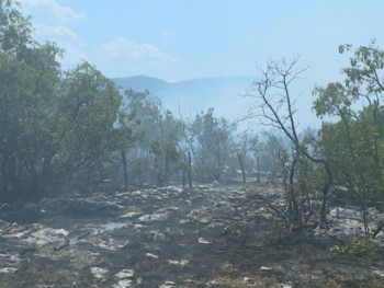 Bileća: I dalje aktivan požar u Gornjim Davidovićima
