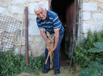 ПОРОДИЦА СТАНКОВИЋ ИЗ СОПИЉА УДОМИЛА ЛАНЕ