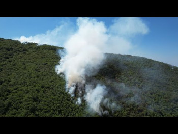 Proširio se požar iznad naselja Zelenika u Herceg Novom (VIDEO)