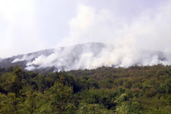 Pomoć iz Trebinja i Gacka u gašenju požara u Nacionalnom parku Sutjeska