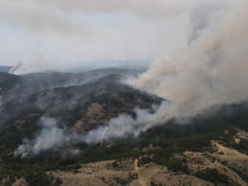 Нови пожари на Пелепонезу и сјеверу Грчке