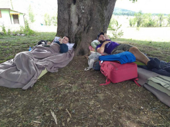 Vuk i Žarko bore se za titulu najvećeg džabalebaroša