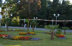 Apel građanima da ne uništavaju zelenilo i saobraćajne znakove