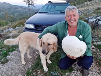 Rekorderka pronađena na Trebinjskim brdima