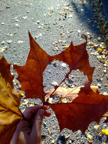 Nikolina nam šalje fotografije Bileće obojene u jesenje boje
