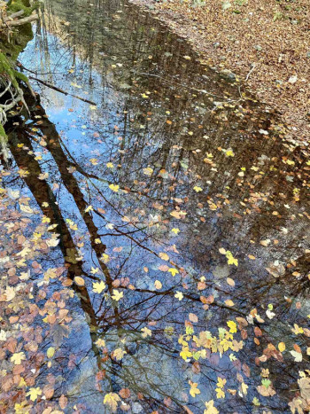 Milica nam šalje predivne fotografije