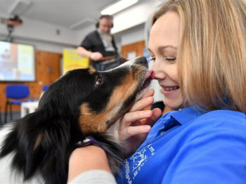 Студије доказале: Пси добро утичу на човјеков мозак
