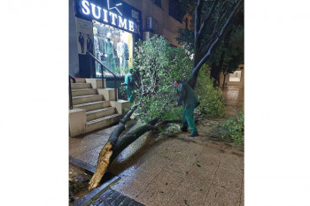 U Podgorici padala stabla, poplave u Herceg Novom