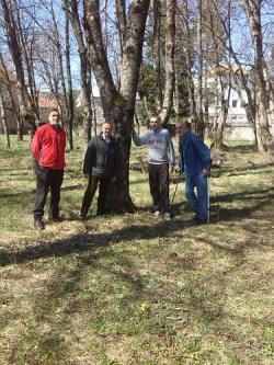 Nevesinje: Zasadili drvorede ispred javnih ustanova u gradu