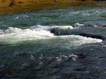 Zbog amonijaka zabranjena upotreba vode iz Nišave i ribolov