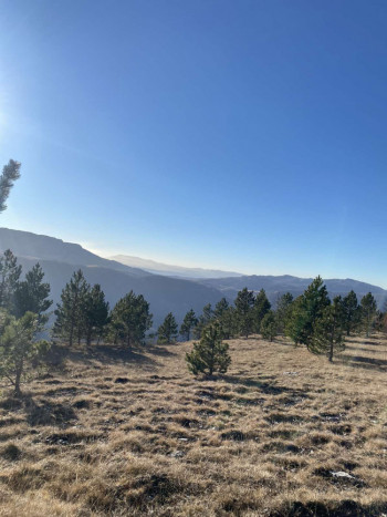 Fotografije nam šalje Milica (FOTO)