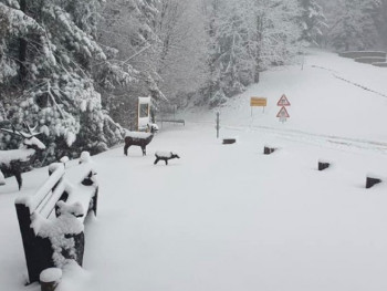 Kozara osvanula sa sniježnim pokrivačem (FOTO)