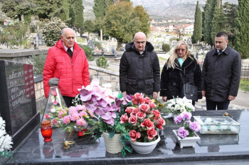 Три деценије од смрти Срђана Алексића 