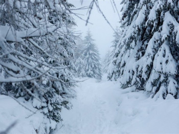 Snijeg stvorio probleme širom Srpske; Bez struje nekoliko opština