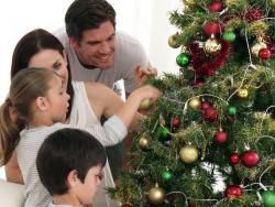 Због чега китимо јелку