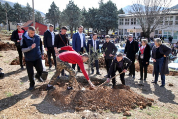 Učenici škole u Gorici ulješpšali dvorište sadnicama maslina