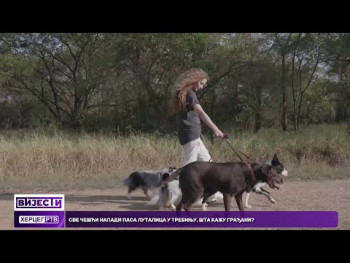 Povećan broj napada pasa na građane; Šta Trebinjci misle o ovome?(Video)