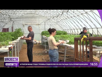 Agrarni fond grada Trebinja podijelio 20 000 rasada poljoprivrednicima (Video)