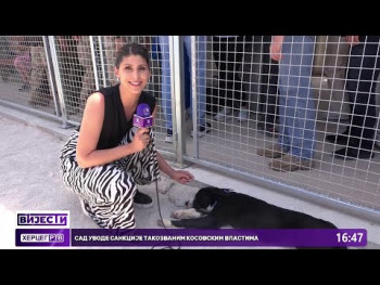 U Trebinju otvoren novi azil za pse ,, Azil Danica'' (VIDEO)