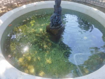Trebinje: Čišćenje i pranje fontane u Gradskom parku