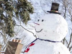 Сњешко Бијелић угрозио жељезнички саобраћај