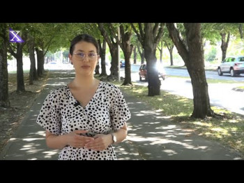 Hronika Trebinja (Video)